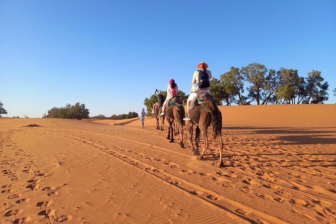 Ride the Camels for Sunset in Merzouga Dunes - Traveler Reviews and Feedback