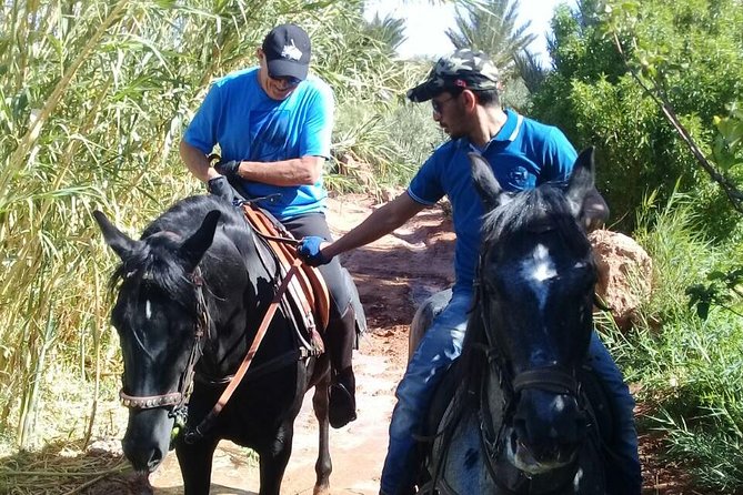 Ride the Cast of Famous Hollywood Movies on Set in Their Natural Environment! - Booking and Cancellation Policies