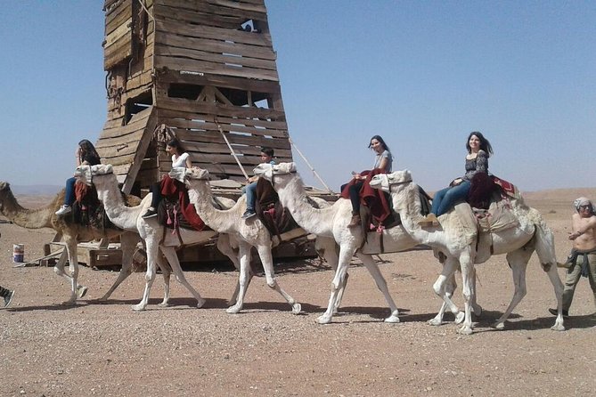 Ride the Cast of Famous Hollywood Movies on Set in Their Natural Environment! - Satisfied Customers Rave About It