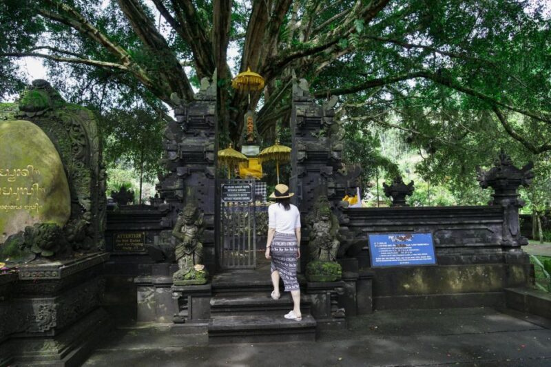 Ride the Wild: Bali ATV Expedition & Jungle Safari Adventure - Key Points