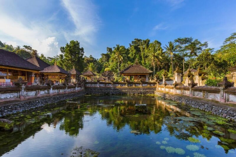 Ride the Wild: Bali ATV Expedition & Jungle Safari Adventure - Nature Connections