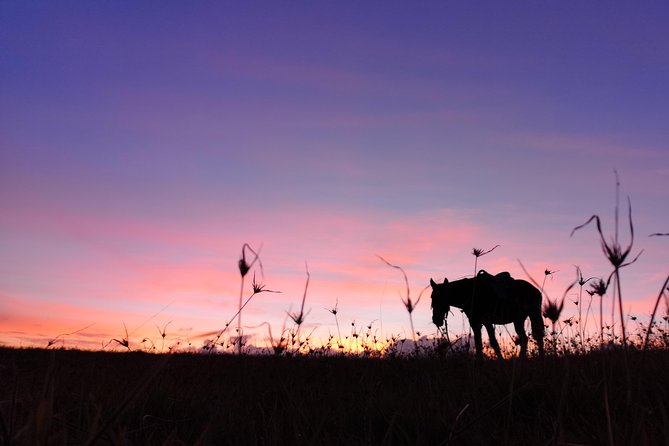 Ride to the Highest Point on the Island for Sunset - Inclusions and Amenities
