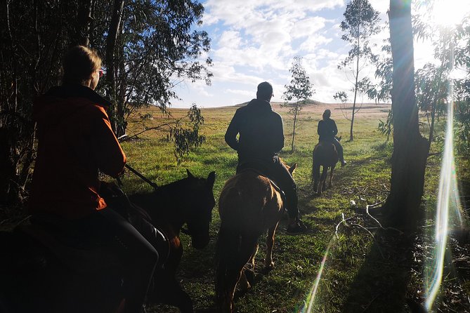Ride to the Highest Point on the Island for Sunset - Participant Feedback and Experiences