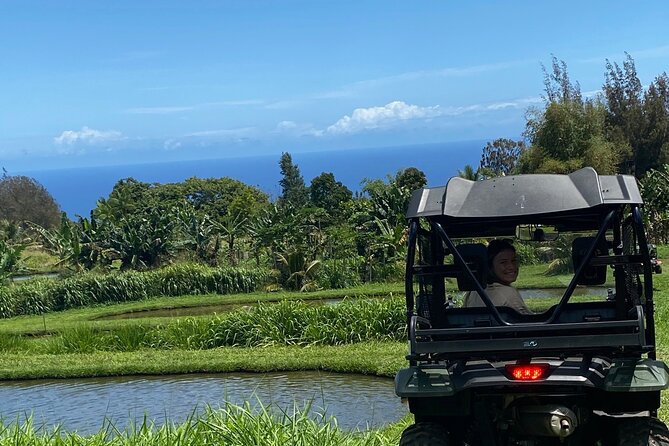 Ride Waipio on Horseback: Mountain to Ocean Working Cattle Ranch - Learn About Waipios Intriguing History