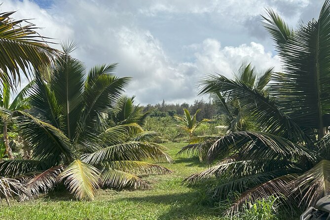 Ride Waipio on Horseback: Mountain to Ocean Working Cattle Ranch - Meet at Waipio Fruit Shack Location