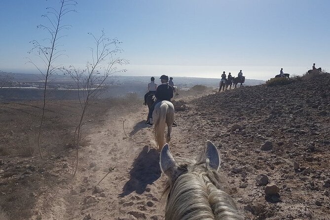 Riding 2 Hours Along the Maspalomas Route - Experienced Horse Experts