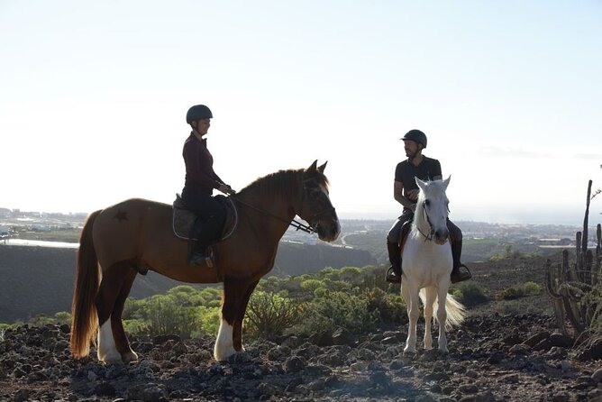 Riding 2 Hours Along the Maspalomas Route - Relaxing and Memorable Experience
