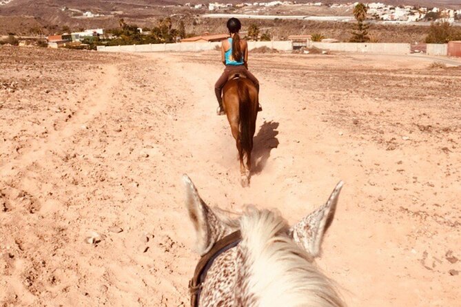 Riding 2 Hours Along the Maspalomas Route - Customer Feedback