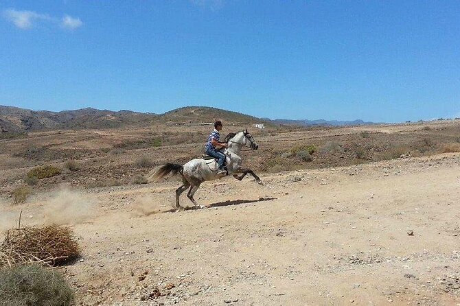 Riding 2 Hours Along the Maspalomas Route - Questions About Staying Here