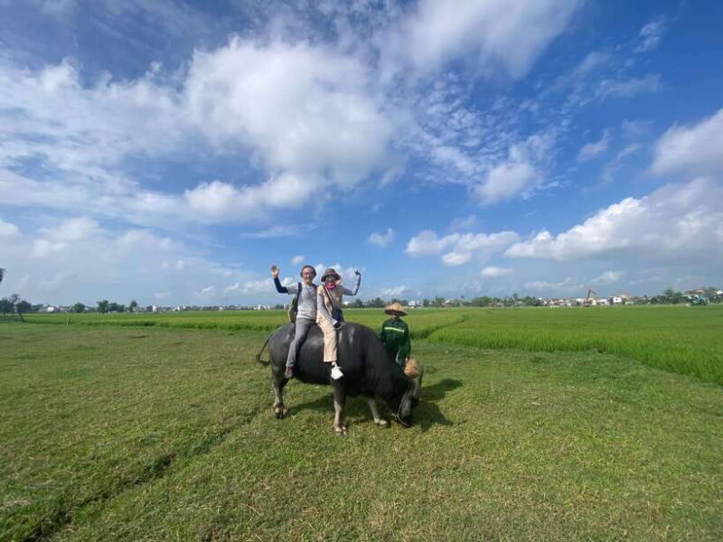 Riding Buffalo and Basket Boat Hoi An Private Bike Tour - Key Points
