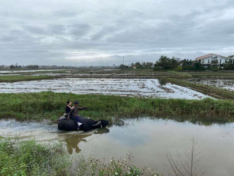 Riding Buffalo and Basket Boat Hoi An Private Bike Tour - Itinerary and Activities