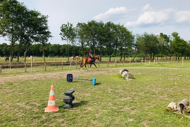 Riding Course for All Levels 1/2 Day (3 Hours) - Quick Points