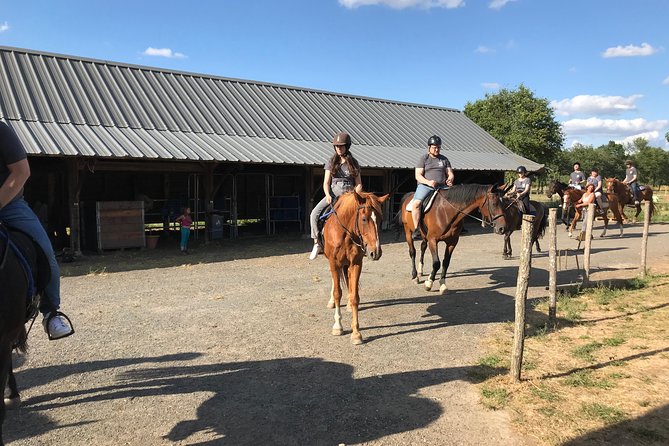 Riding Course for All Levels 1/2 Day (3 Hours) - Accessibility Details