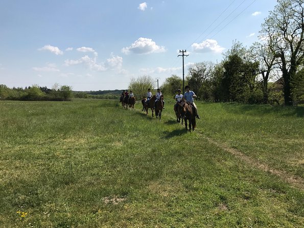 Riding Course for All Levels 1/2 Day (3 Hours) - Recommended Attire