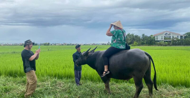 Riding Water Buffalo Hoi An Private Bike Tour - Booking Information