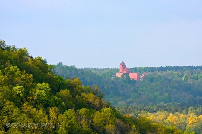Riga to Tallinn - Sightseeing Transfer - Sightseeing Opportunities