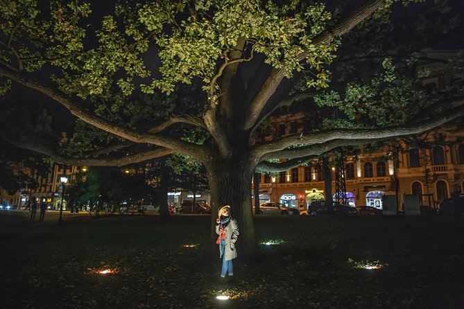 Rigas Night Photoshoot Tour - Accessibility and Participation