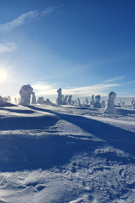 Riisitunturi National Park Private Snowshoe Experience - Good To Know