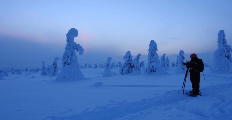 Riisitunturi National Park Private Snowshoe Experience - Pickup Options