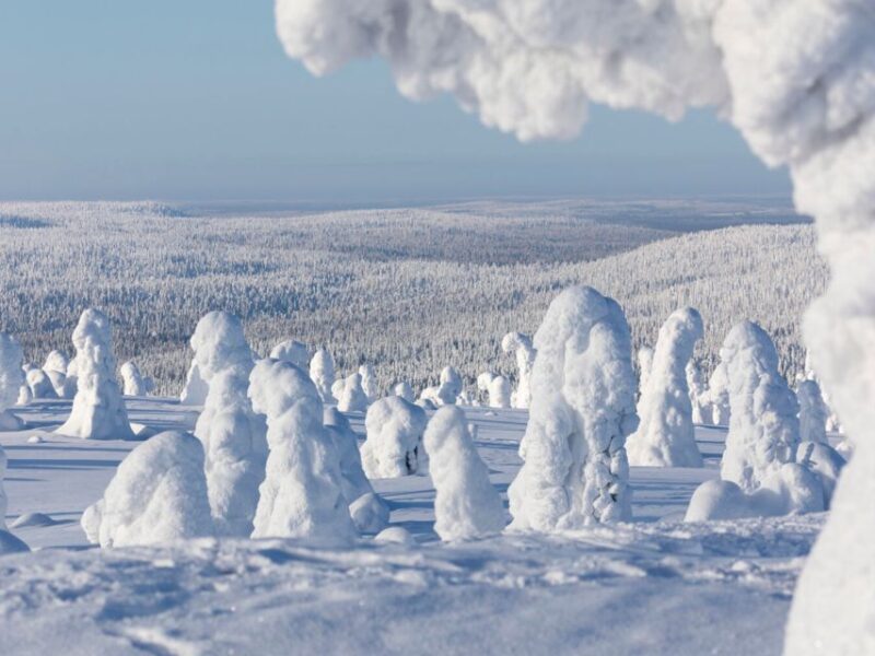 Riisitunturi National Park: Wilderness Expedition & Barbeque - Tour Duration and Price