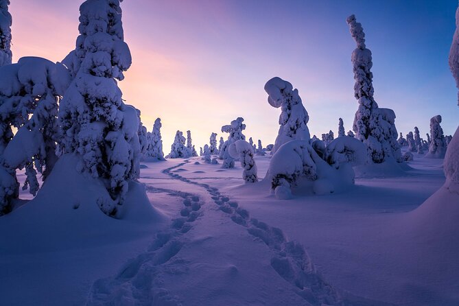 Riisitunturi Wilderness Adventure - Inclusions