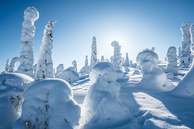 Riisitunturi Wilderness Adventure - Photography With a Pro