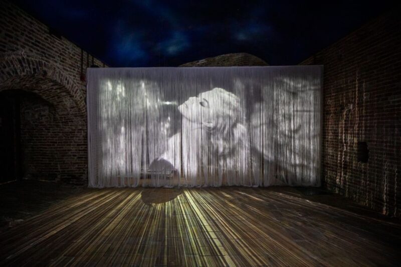 Rimini: All About Fellini Private Tour With Fellini Museum - Inclusions and Accessibility