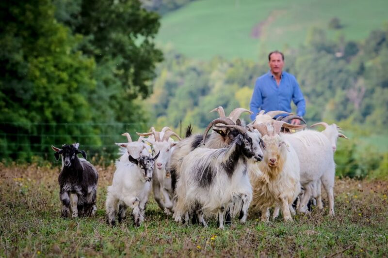 Rimini: San Leo Cashmere Farm Experience - Tour Details