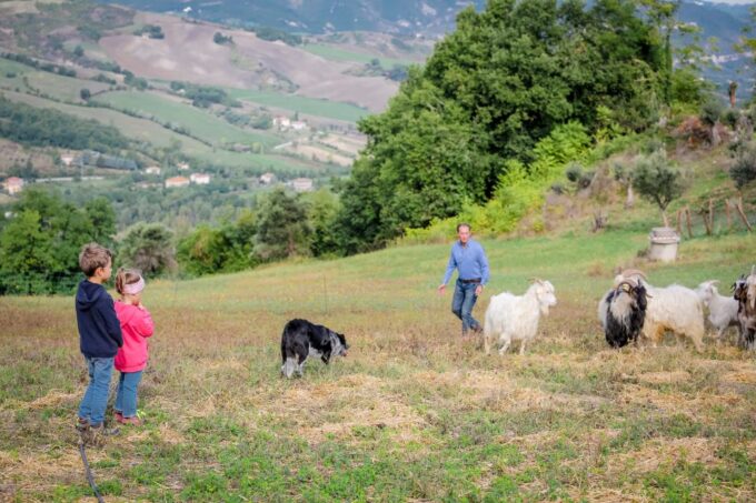 Rimini: San Leo Cashmere Farm Experience - Frequently Asked Questions