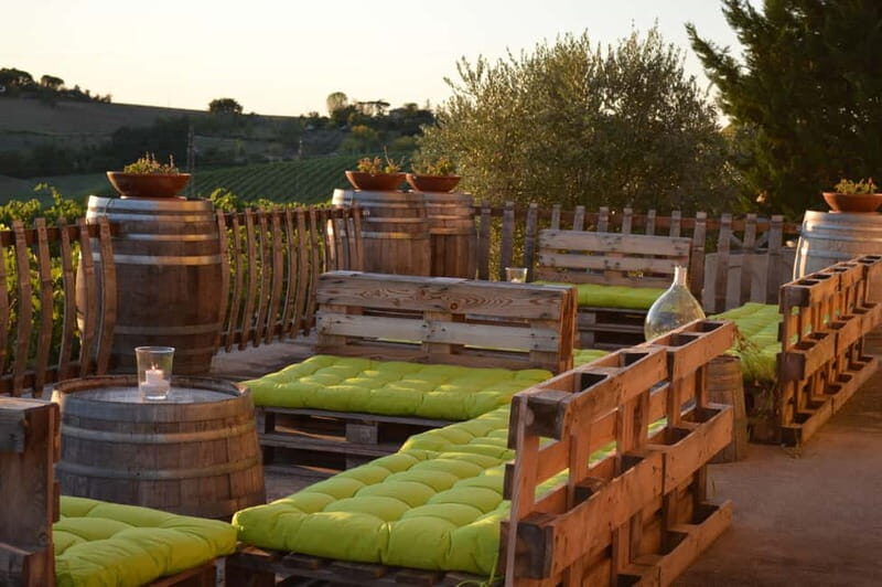 Rimini: San Valentino Vineyards Tour With DOC Wine Tastings - Overview of the San Valentino Vineyards Tour