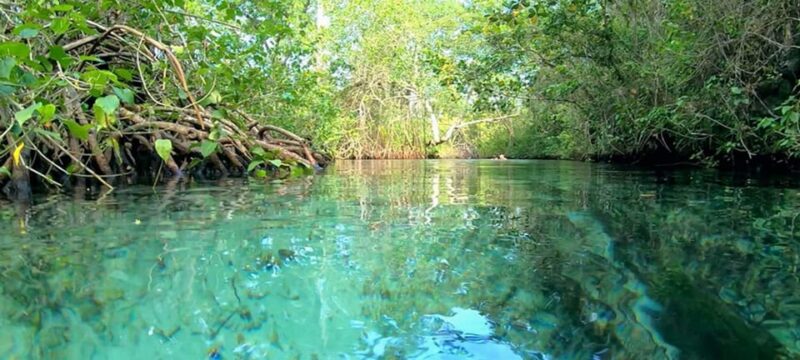 Rincon Beach Safari Adventure From Samaná Special - Included Amenities