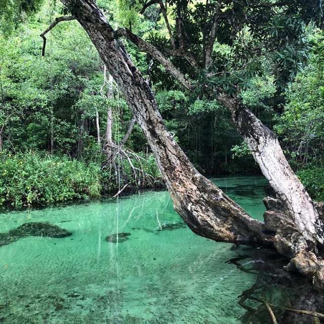 Rincon Beach Safari Adventure From Samaná Special - Frequently Asked Questions