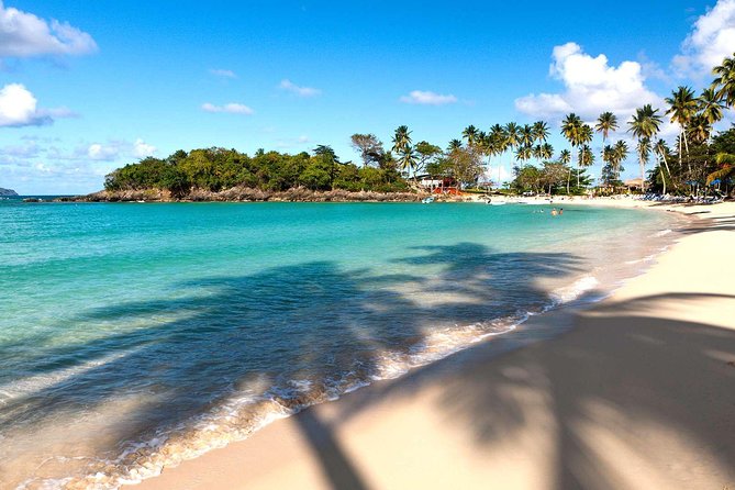 Rincón Beach Samaná Peninsula Half Day Trip - Highlights of the Tour
