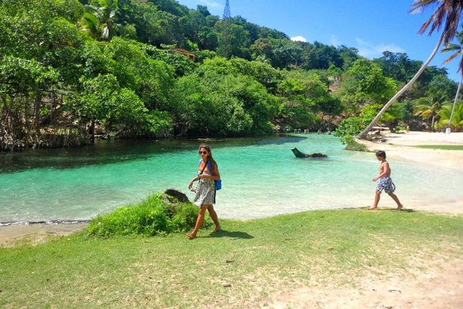 Rincón Beach Samaná Peninsula Half Day Trip - Booking and Reservations