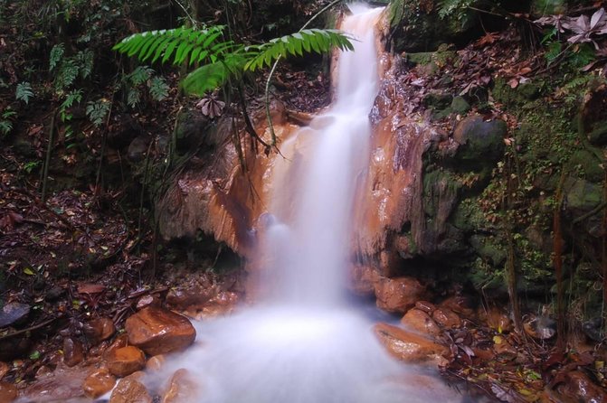 Rincon De La Vieja Day Trip Adventure From Playa Del Coco - Attractions and Activities