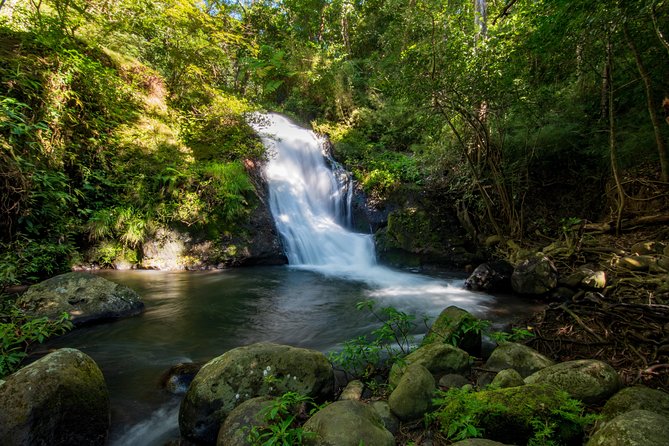 Rincón De La Vieja One Day Waterfalls Expedition - Key Points