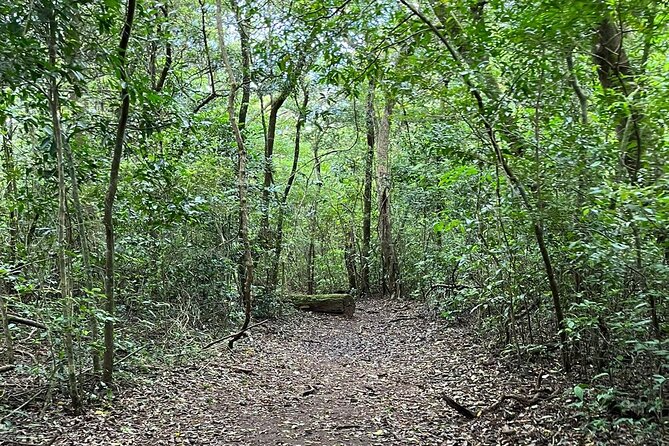 Rincon De La Vieja/Santa Maria Nature Hike & Hot Springs/Half Day - Scenic Drive Through Guanacaste
