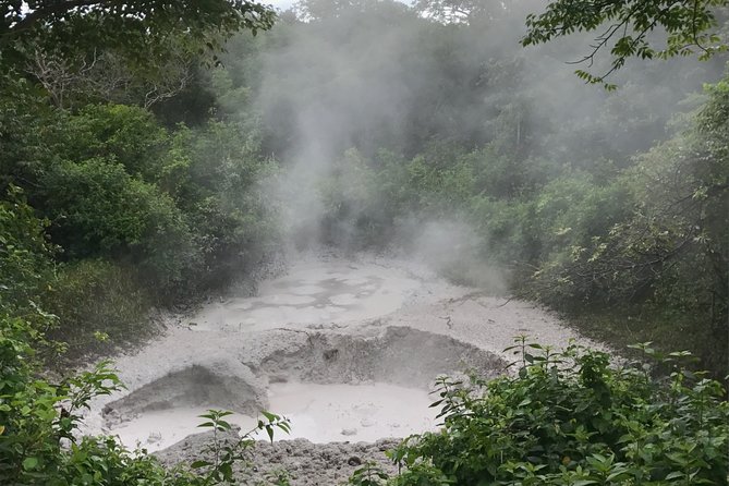 Rincon De La Vieja Volcano Hike, Mud Bath and Hot Springs - Wildlife Watching Opportunities