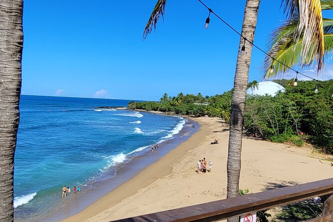 Rincon Tour Sunset & Nightlife Experience - About Your Stay