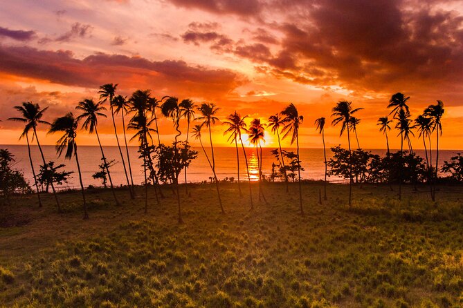 Rincon Tour Sunset & Nightlife Experience - Navigating Rincons Picturesque Neighborhoods