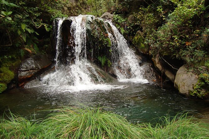 Rincón Waterfalls Experience - Itinerary Highlights