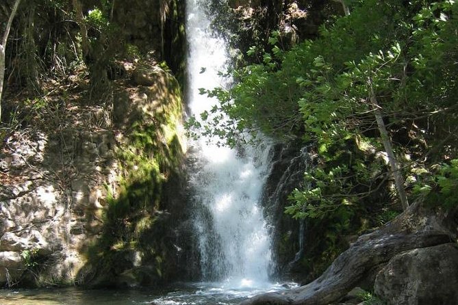 Rincón Waterfalls Experience - Ratings and Reviews