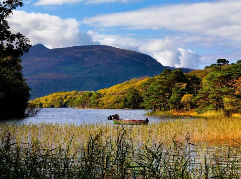 Ring of Kerry Full-Day Tour From Limerick - Tour Inclusions