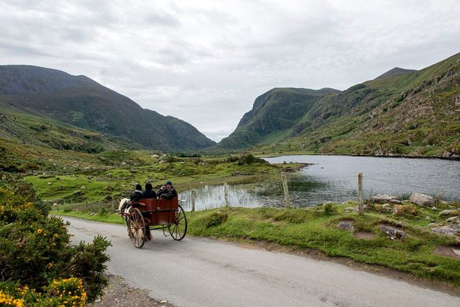 Ring of Kerry & Killarney Tour Departing From Cork City. Guided. Full Day. - Quick Points