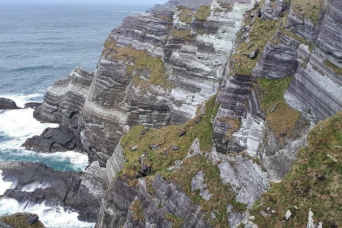 Ring of Kerry Private Day Tour - Reviews and Ratings