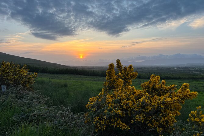 Ring of Kerry Private Tour From Killarney - Confirmation and Accessibility