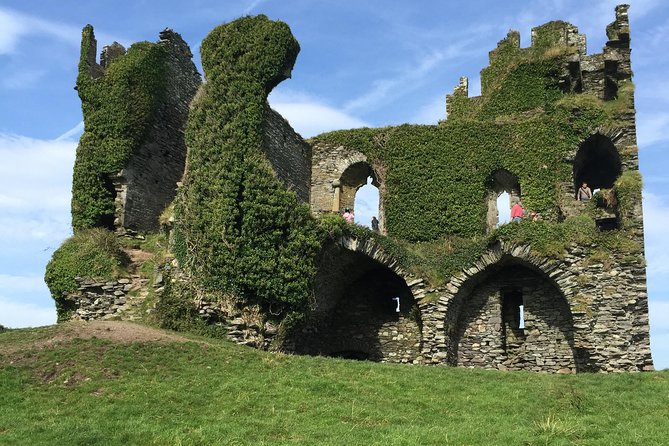 Ring of Kerry Private Tour From Killarney - Suitability of Participants