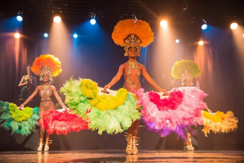 Rio: Access to the Ginga Tropical Samba and Folklore Show - Key Points