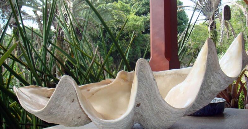 Rio: Burle Marx Site and Cachaça Distillery Private Tour - Key Points