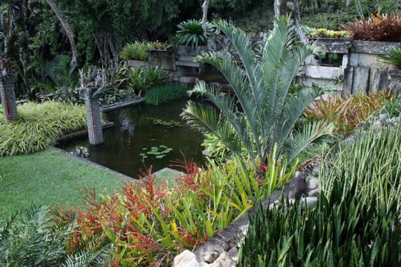 Rio: Burle Marx Site and Cachaça Distillery Private Tour - Inclusions and Exclusions